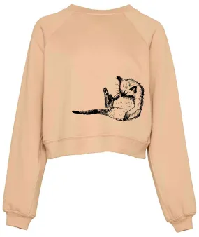 Cropped sleeping cat jumper