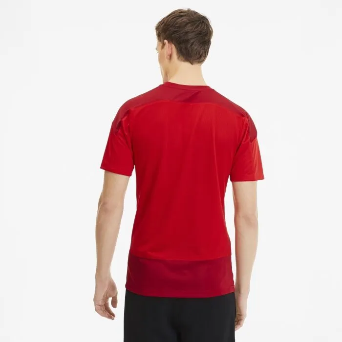 Puma TEAMGOAL 23 TRAINING JERSEY