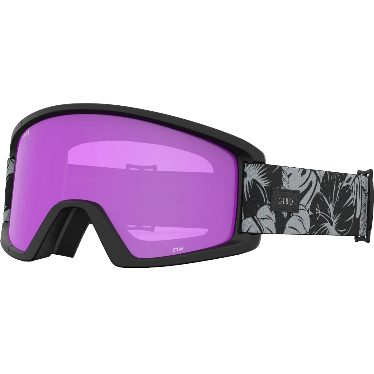 Women's Dylan Goggles